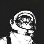 Profile Picture of Matthew (@burntcrisp) on Instagram