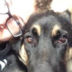 Profile Picture of Patrick Brunke (@patrickb_ca) on Instagram