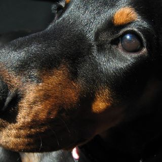 Profile Picture of Gregg Dallesandro (@gregg.dallesandro) on Facebook