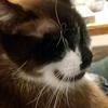 Profile Picture of Kim Platt 1474 (@rebeccaplatt18) on Tiktok