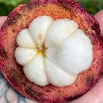 Profile Picture of Leila Ziyalan (@xyziyalan) on Instagram