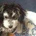 Profile Picture of Kerby Parker (@kerby.parker.9) on Facebook
