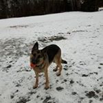 Profile Picture of Sheri McCarthy (@sheri.mccarthy.98096) on Instagram