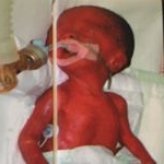 Profile Picture of Alex Sheng (@prematurebabiesoncigpackets) on Instagram