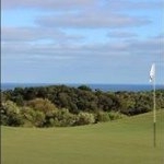 Profile Picture of Mary Jo Goebel Waggoner (@mjwaggoner) on Instagram