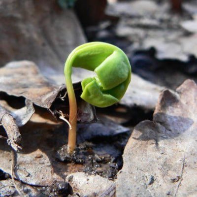 Profile Picture of Natasha Adams (@NatashaJAdams) on Twitter