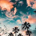 Profile Picture of karlwilliams25 (@karlwilliams25) on Instagram