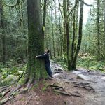 Profile Picture of David Altamirano Morett (@dam790) on Instagram