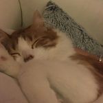 Profile Picture of Barbara Scaringella (@barbarascaringella) on Instagram