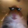 Profile Picture of Josie Pfefferkorn (@@tom_holland1fan) on Tiktok