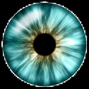 Profile Picture of Clay Osborne (@lolercaust_1) on Myspace