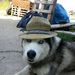 Profile Picture of Robert Kliem (@palone904) on Pinterest