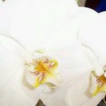 Profile Picture of Mary Jo Maneylaws (@maryjomaneylaws) on Instagram