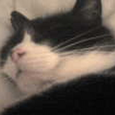 Profile Picture of Paula Finney (@Penfold77) on Twitter