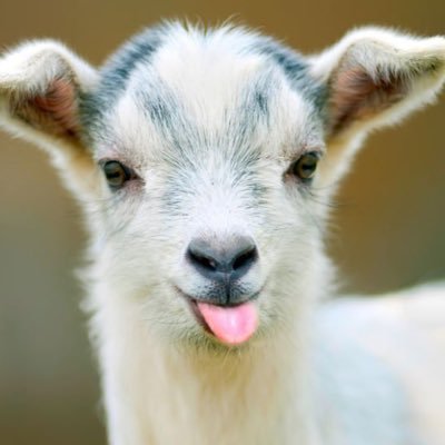 Profile Picture of Christopher Landeros (@Christo55670970) on Twitter