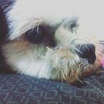 Profile Picture of Joshua Waite (@_josh_waite_) on Instagram