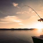 Profile Picture of Benjamin  Wagner (@gordonbrewerj572) on Instagram