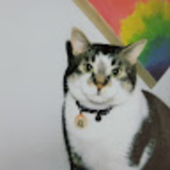 Profile Picture of Deivit kelli Sousa (@vivi16171819) on Poshmark