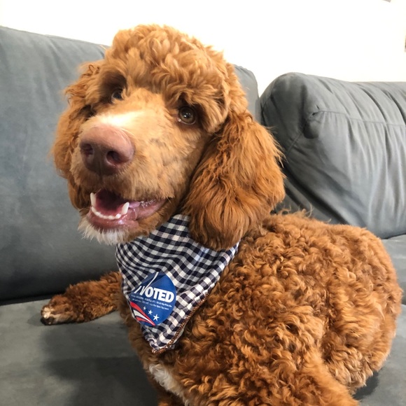 Profile Picture of Jasmine Heidari (@jasmine_heidari) on Poshmark