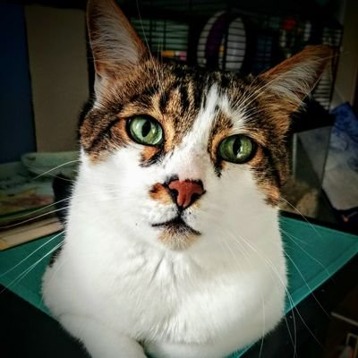 Profile Picture of Jim Paradis (@jimparadis14) on Twitter