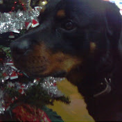 Profile Picture of Michael Perrotto (@michaelperrotto5362) on Youtube