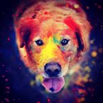 Profile Picture of Paula (@semmelvollkornbambusholzbrot) on Instagram