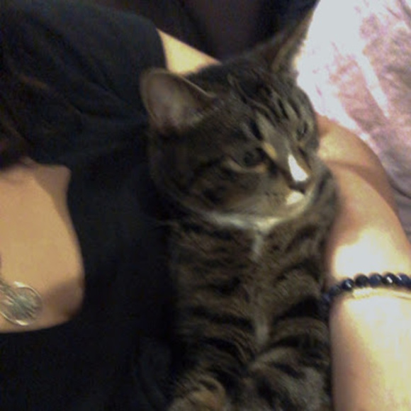 Profile Picture of Amira Higgins (@amirahiggins9) on Poshmark