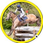 Profile Picture of Jodi Cronin (@jpc_equine) on Instagram