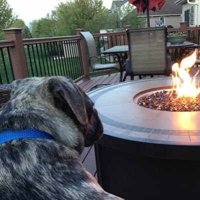 Profile Picture of John (@JamborJohn) on Twitter