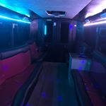 Profile Picture of Joyce Adamson (@border_boogie_bus) on Instagram