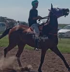 Lisandro Paladini - Facebook Profile Picture of Lisandro Paladini (@lisandro.paladini.2025) on Facebook