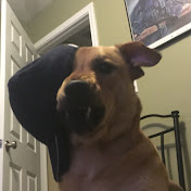 Profile Picture of Blake McAlister (@blakemcalister7638) on Youtube