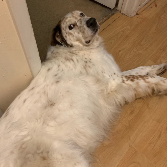 Profile Picture of Kathy Raybould (@kmraybould65) on Poshmark