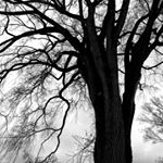 Profile Picture of new england ramblings (@rickinmarblehead) on Instagram