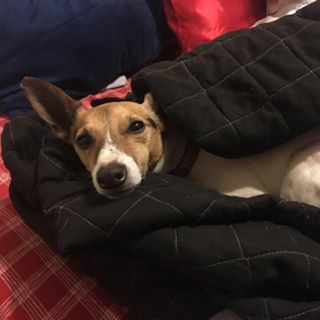 Profile Picture of Escudero Stephen (@stephen.escudero) on Facebook