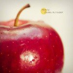 Profile Picture of Holcroft (@9rsswitchgrass) on Instagram