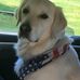 Profile Picture of Ellen Slaughter (@ellen.slaughter.39) on Facebook