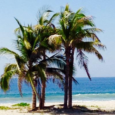 Profile Picture of Adriana Sheinbaum (@adsheinbaum) on Twitter