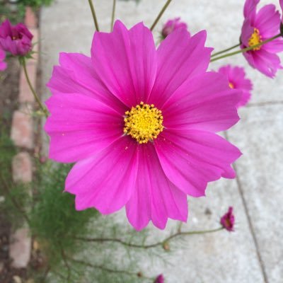 Profile Picture of Dan Thwaites (@DanDanthwaites) on Twitter