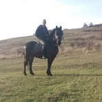 Profile Picture of Csongi Ilyes (@Csongi-Ilyes) on Facebook