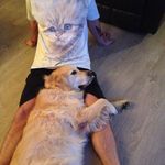 Profile Picture of Dan Sorrell (@dansorrell94) on Instagram