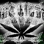 Profile Picture of paul.panza (@paul.panza) on Instagram