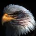 Profile Picture of Thomas Haase (@thomas.haase.712) on Facebook