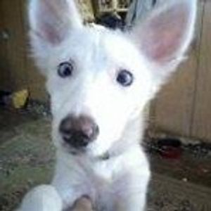 Profile Picture of Susan Piper (@susan.piper.31) on Myspace