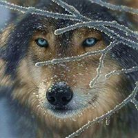 Profile Picture of Bruce Larsen (@bruce-larsen-16) on Quora