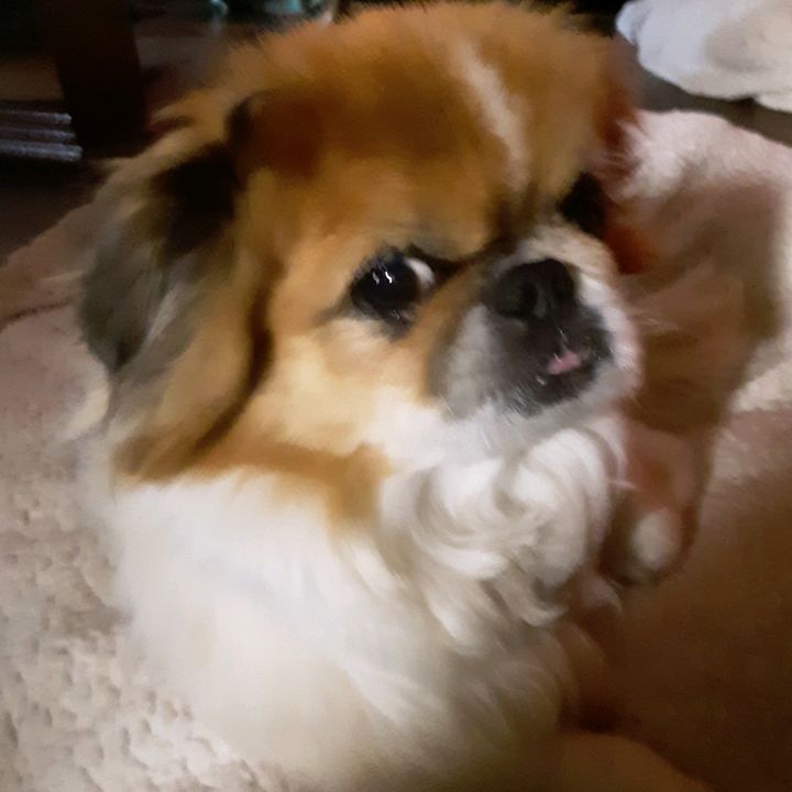 Profile Picture of user2184767980301 (@connorweir11) on Tiktok