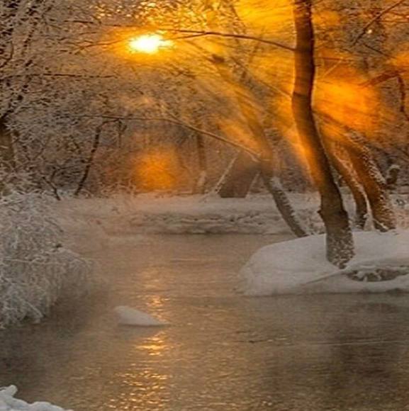 Profile Picture of Tanpeaches Dorning (@dorning) on Poshmark