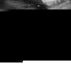 Profile Picture of Denniel Tuttle (@284923311) on Myspace