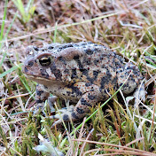 Profile Picture of Rob Stewart (@robstewart7373) on Youtube