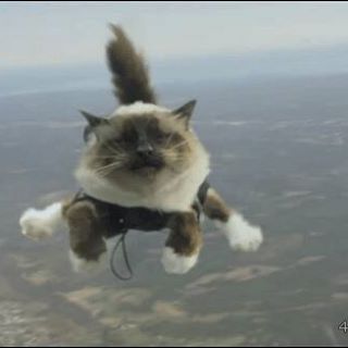 Profile Picture of Andrew Schiltz (@andrew.schiltz.1) on Facebook